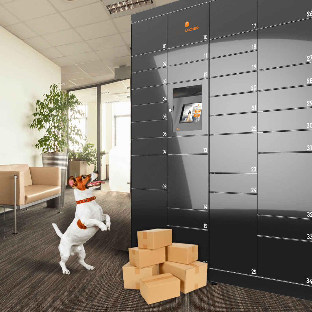 MLKR-DOG005-1080x1080